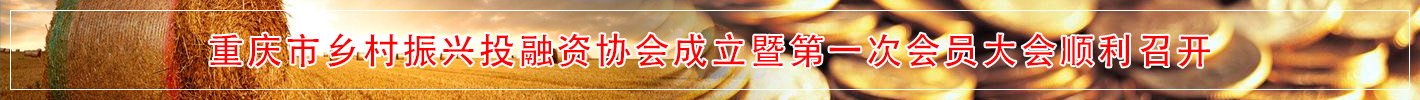 重庆市乡村振兴投融资协会成立暨第一次会员大会顺利召开