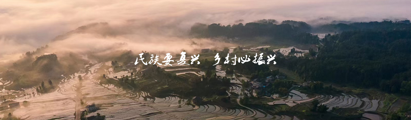 民族要复兴 乡村必振兴