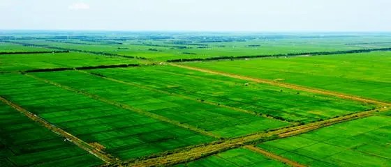 国务院关于全国高标准农田建设规划（2021—2030年）的批复