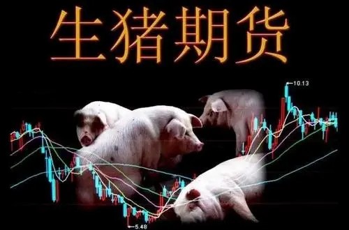 渝企完成我国首批生猪期货活体交割